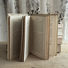 Load image into Gallery viewer, 19th Century French Nelson Book