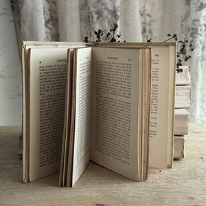 19th Century French Nelson Book