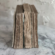 Load image into Gallery viewer, Set Of 3 19th Century French Books