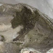 Load image into Gallery viewer, 20th Century French Clam Shell