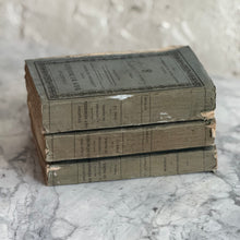 Load image into Gallery viewer, Set Of 3 19th Century French Books