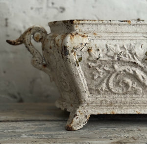 Early 19th century French Cast Iron Jardinere