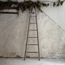 Load image into Gallery viewer, Late 19th Century French Apple Ladders