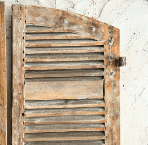 Early 19th Century French Shutters