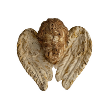 Load image into Gallery viewer, 18th Century Italian Polychrome Carved Wooden Cherub Head with Wings