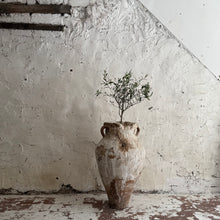 Load image into Gallery viewer, 19th Century French Olive Pot