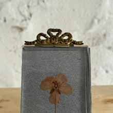 Load image into Gallery viewer, 19th Century French Herbarium Picture