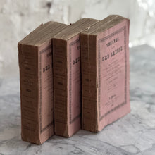 Load image into Gallery viewer, Set Of 3 19th Century French Books