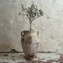 Load image into Gallery viewer, 19th Century French Olive Pot