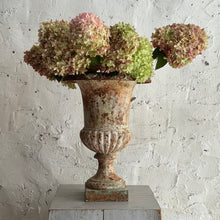 Load image into Gallery viewer, Early 19th Century French Cast Iron Urn