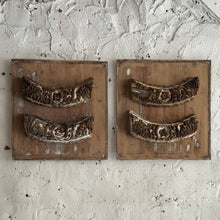 Load image into Gallery viewer, Pair of Late 18th Century French Carved Architectural Panels