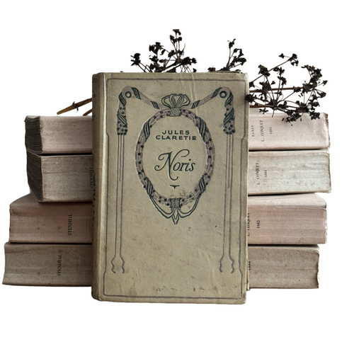 19th Century French Nelson Book