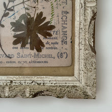 Load image into Gallery viewer, 19th Century French Framed Herbarium