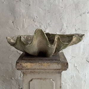 20th Century French Clam Shell