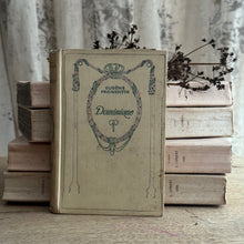 Load image into Gallery viewer, 19th Century French Nelson Book
