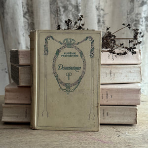 19th Century French Nelson Book