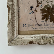 Load image into Gallery viewer, 19th Century French Framed Herbarium