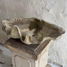 Load image into Gallery viewer, 20th Century French Clam Shell