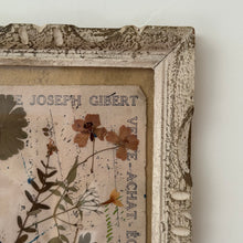 Load image into Gallery viewer, 19th Century French Framed Herbarium