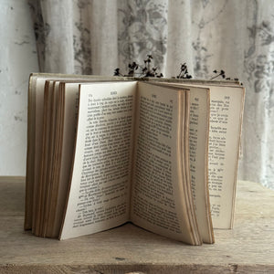 19th Century French Nelson Book