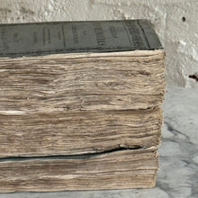 Load image into Gallery viewer, Set Of 3 19th Century French Books