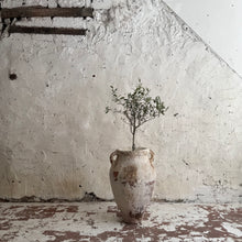 Load image into Gallery viewer, 19th Century French Olive Pot