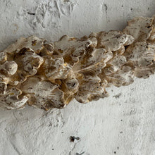 Load image into Gallery viewer, Early 19th Century French Gilt Wood Garland