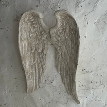 Load image into Gallery viewer, French Plâtre Wings