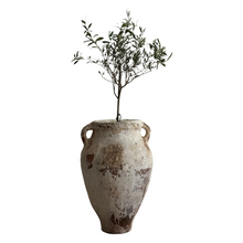 Load image into Gallery viewer, 19th Century French Olive Pot