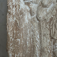 Load image into Gallery viewer, French Plâtre Wings