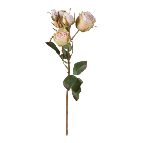 Soft Pink Vintage Rose Spray with Leaves