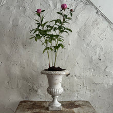 Load image into Gallery viewer, 19th Century French Cast Iron Urn