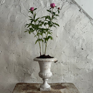 19th Century French Cast Iron Urn
