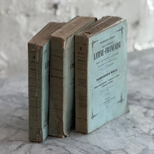 Load image into Gallery viewer, Set Of 3 19th Century French Books