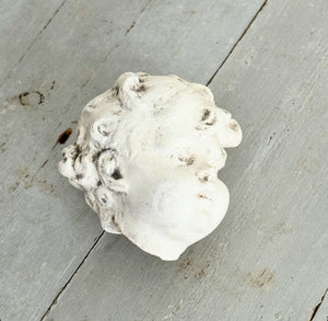 19th Century French Plâtre Putto Head