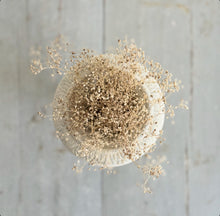 Load image into Gallery viewer, French Urn With Dried White Gypsophila