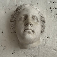 Load image into Gallery viewer, Late 19th Century Venus de Milo Plaster Head
