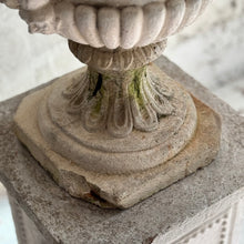 Load image into Gallery viewer, Early 20th Century Medici Urn On Plinth
