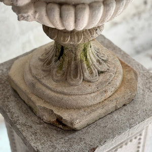 Early 20th Century Medici Urn On Plinth