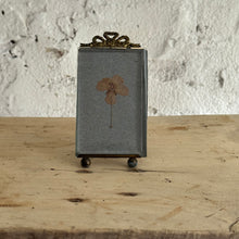 Load image into Gallery viewer, 19th Century French Herbarium Picture