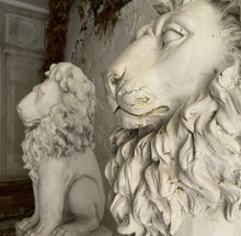 Load image into Gallery viewer, Pair Of 20th Century French Lions On Plinths