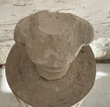 Load image into Gallery viewer, 19th Century French Plaster Bust