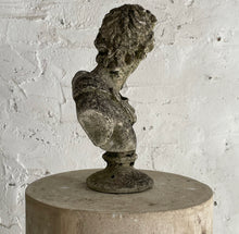 Load image into Gallery viewer, Apollo Belvedere Bust