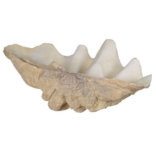 Large Decorative Clam Shell