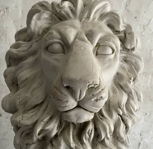Pair Of 20th Century French Lions On Plinths