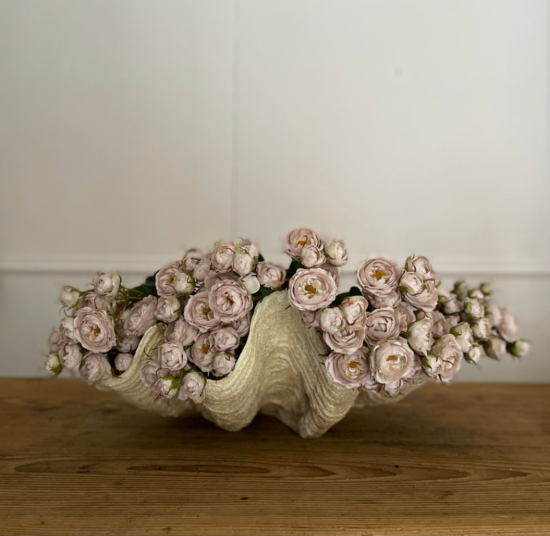 Large Decorative Clam Shell – Old Whyte Interiors
