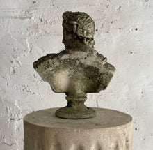 Load image into Gallery viewer, Apollo Belvedere Bust